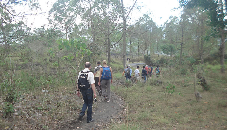 Bali Sunrise Trekking